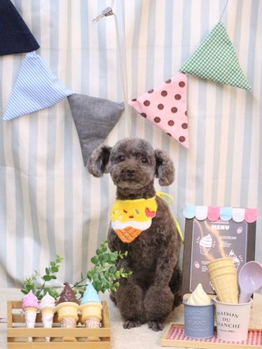 20250504モカくん